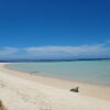 Отель Tailua Beach Fale, фото 9