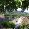 Отель Manulalu Jungle, фото 10