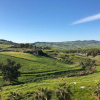 Отель Tenute D'Angelo - Holidays, Relax & Wellness - Casa vacanze ad Agrigento, фото 11