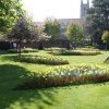 Отель Dolphins Hotel, фото 16