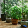 Отель Yizhandeng   Homestay, фото 6