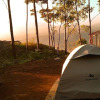 Отель Munnar Jungle Camp, фото 4