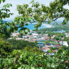 Отель Exclusive 5BR Tanager Ocean View Villa w Private Pool Jungle Views, фото 18
