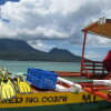 Отель Camiguin Volcan Beach Eco Retreat & Dive Resort, фото 29