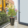 Отель Amazing NYT Home Balcony Cozy Studio, фото 1