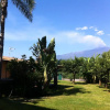 Отель Villa Andrea, фото 4