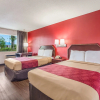 Отель Economy Inn, фото 24