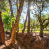 Отель Doliva Estate, фото 23