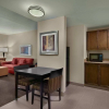 Отель Hampton Inn & Suites Tampa Northwest/Oldsmar, фото 34