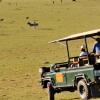 Отель Lions View Villa, Kwantu Game Reserve, фото 4