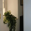 Отель Portuguese Living Travessa da Bica, фото 2