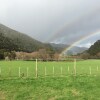 Отель Narrow Neck Creek Farmstay and B&B, фото 14