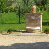 Отель Agriturismo Il Falco, фото 6