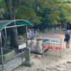 Отель Gyeongju Bulguksa Areumdaun Pension, фото 16