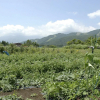 Отель Lodge Motoi, фото 17
