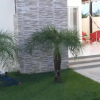 Отель Casa De Praia Luis Correia, фото 16