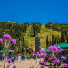 Отель Arapahoe Lodge #8102 by Summit County Mountain Retreats, фото 20