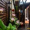 Отель Casa Hostal Antawara, фото 22