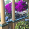 Отель Olafs Guest House, фото 16