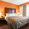 Отель Comfort Inn East, фото 3