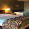 Отель Cactus Inn and Suites, фото 8