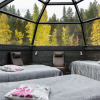 Отель Arctic SnowHotel & Glass Igloos, фото 5