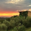 Отель Borgo le Cinischie, фото 4