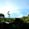 Отель Huella Verde Rainforest Lodge, фото 11