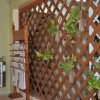 Отель Tuptim Bed & Breakfast, фото 1