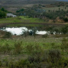 Отель Swartberg Private Game Lodge, фото 22