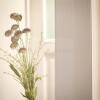 Отель Wunderschone Wohnung in Sanierter Villa! Incl Wifi, фото 14