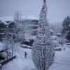 Отель Blackcomb Lodge, фото 20