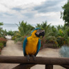 Отель Relaxing Tropical Island Chalet w Private Pool and Beach in Bar, фото 8