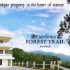 Отель Excellency Forest Trail, фото 1