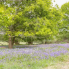 Отель Pheasant Lodge at Chapel Lodges, фото 20