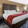 Отель Comfort Inn & Suites, фото 31