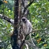 Отель 360 Rainforest, фото 18