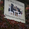Отель The Mole and Chicken, фото 5