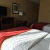 Отель Comfort Inn Jackson I-40, фото 5
