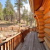 Отель No.7 Gorgeous Shasta Pines Log ! New Spa! 5 Bedroom Home, фото 3
