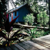 Отель Belmopan Tiny Houses, фото 12