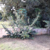 Отель Studio In Sainte Anne With Furnished Garden And Wifi, фото 10