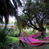 Отель El Arbol Eco-Lodge - Hostel, фото 6
