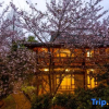 Отель Bopin of Mengxi Garden, фото 1