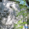 Отель Huangshan Xishuiyunjian Homestay, фото 10