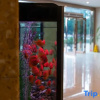 Отель Yunshang Manju Hotel (Ningbo Yushe Airport Branch), фото 1