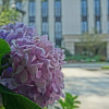 Отель Yiu Teung Mansion, фото 13