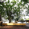 Отель Seashell Village Resort, фото 17