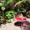 Отель House With one Bedroom in La Trinité, With Furnished Terrace and Wifi, фото 14