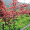 Отель Wuxie Zhang Guang Hotel, фото 4